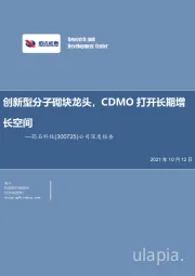 公司深度报告:创新型分子砌块龙头,CDMO打开长期增长空间