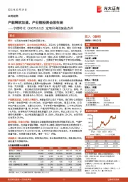 定增问询回复函点评：产能释放加速，产业链投资全面布局