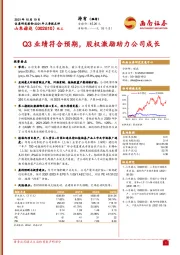 Q3业绩符合预期，股权激励助力公司成长