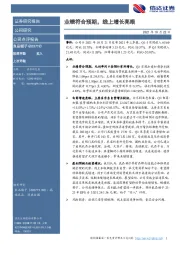 业绩符合预期，线上增长亮眼