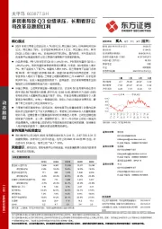 多因素导致Q3业绩承压，长期看好公司改革及激励红利