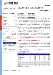 公司信息更新报告：业绩表现符合预期，高端化跃迁趋势不改