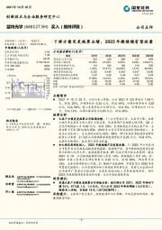 下游方案变更拖累业绩，2023年微棱镜有望放量