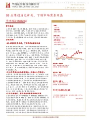 Q3业绩创历史新高，下游市场需求旺盛