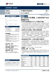 2021年三季报点评:Q3业绩略不及预期,工业软件国产化长期趋势不改