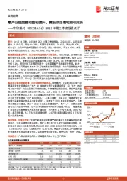 2021年第三季度报告点评：氟产业链完善助盈利提升，募投项目落地推动成长