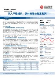 收入平稳增长，原材料涨价拖累利润