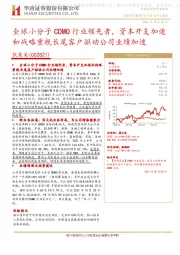 全球小分子CDMO行业领先者,资本开支加速和战略重视长尾客户驱动公司业绩加速