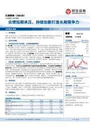 业绩短期承压,持续创新打造长期竞争力