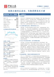 短期业绩承压波动,长期逻辑坚定不移