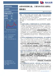 全面布局优势凸显，三驾马车齐发力助推业绩高增长