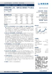 三季报点评：业绩偏预告上限，硅料龙头持续扩产巩固龙头地位加强