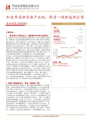 加速布局锂资源产业链,跻身一线锂盐供应商