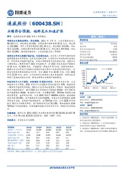 业绩符合预期,硅料龙头加速扩张