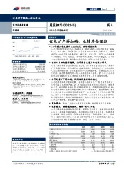 2021年三季报点评:锂电扩产再加码,业绩符合预期