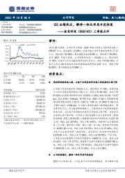 三季报点评：Q3业绩承压，静待一体化布局开花结果