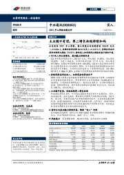 2021年三季报业绩点评:主业稳中有进,第二增长曲线持续加码