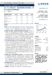 2021年三季报点评：股权激励影响表观增速，国内外各板块业务持续推进