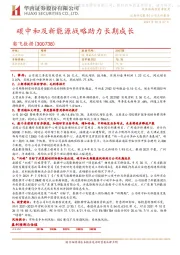 碳中和及新能源战略助力长期成长