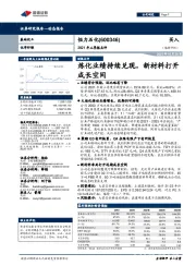 2021年三季报点评：炼化业绩持续兑现，新材料打开成长空间