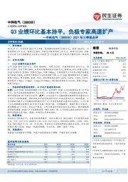 2021年三季报点评：Q3业绩环比基本持平，负极专家高速扩产