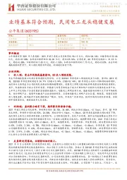业绩基本符合预期,民用电工龙头稳健发展