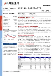 公司信息更新报告：业绩稳步增长，多业务布局未来可期