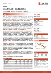 2021年三季报点评：Q3业绩环比改善，提价缓解成本压力