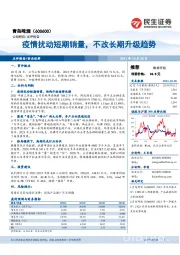 疫情扰动短期销量,不改长期升级趋势