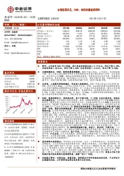 业绩短期承压，CDMO、制剂放量值得期待