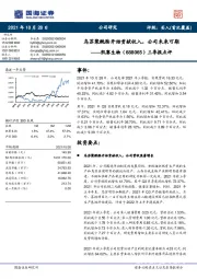 三季报点评：乌苏聚酰胺开始贡献收入，公司未来可期