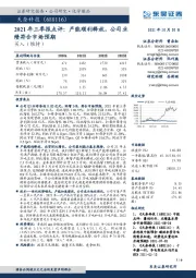 2021年三季报点评:产能顺利释放,公司业绩符合市场预期
