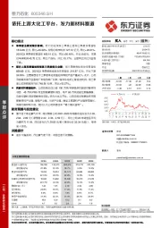 依托上游大化工平台，发力新材料赛道