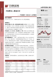 点评报告：手续费收入增速回升