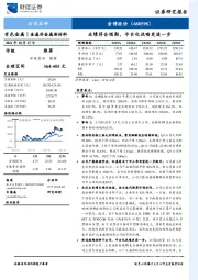 业绩符合预期,平台化战略更进一步