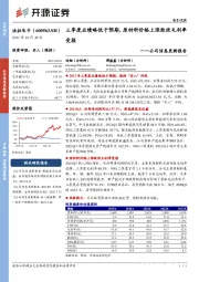 公司信息更新报告：三季度业绩略低于预期，原材料价格上涨致使毛利率受损