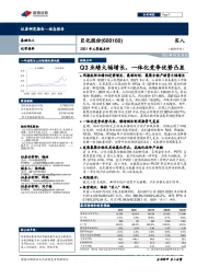 2021年三季报点评：Q3业绩大幅增长，一体化竞争优势凸显