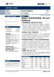 2021三季报点评：高基数下依然保持高增速，新兴安全高质量成长