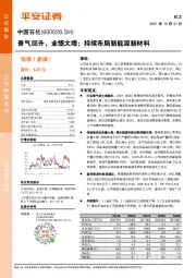 景气回升，业绩大增；持续布局新能源新材料