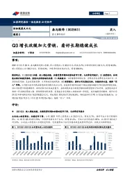 Q3增长放缓加大营销，看好长期稳健成长