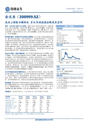 成本上涨致业绩承压 多头并进创造全新成长空间