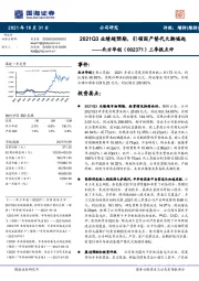 三季报点评:2021Q3业绩超预期,引领国产替代大潮崛起