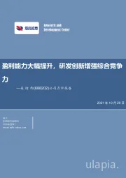 公司点评报告：盈利能力大幅提升，研发创新增强综合竞争力