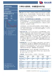 三季报大超预期，存储新星冉冉升起