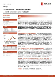 2021年三季报点评：Q3业绩符合预期，股权激励锚定长期增长