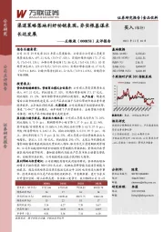 点评报告：渠道策略落地利好动销表现，夯实根基谋求长远发展