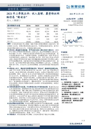 2021年三季报点评：收入高增，募资保证网络信息“新安全”