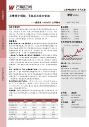 点评报告：业绩符合预期，负极龙头依旧坚挺