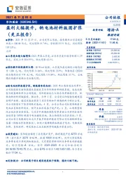 盈利大幅提升，钠电池材料版图扩张（更正报告）