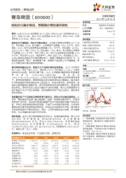 结构优化稳步推进,预期提价释放盈利弹性